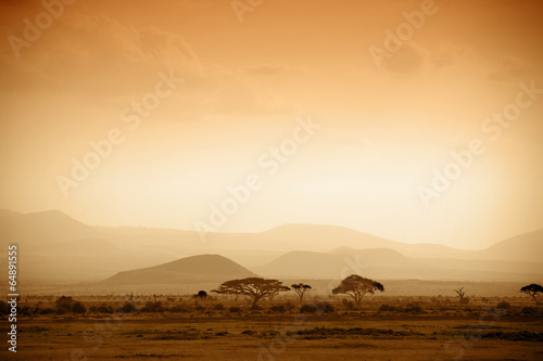 Fotografie, Obraz african savannah at sunrise