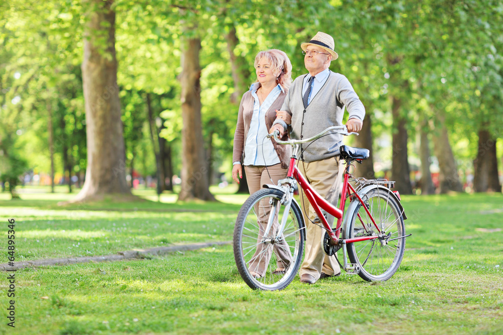 Fototapeta premium Happy mature couple walking in park