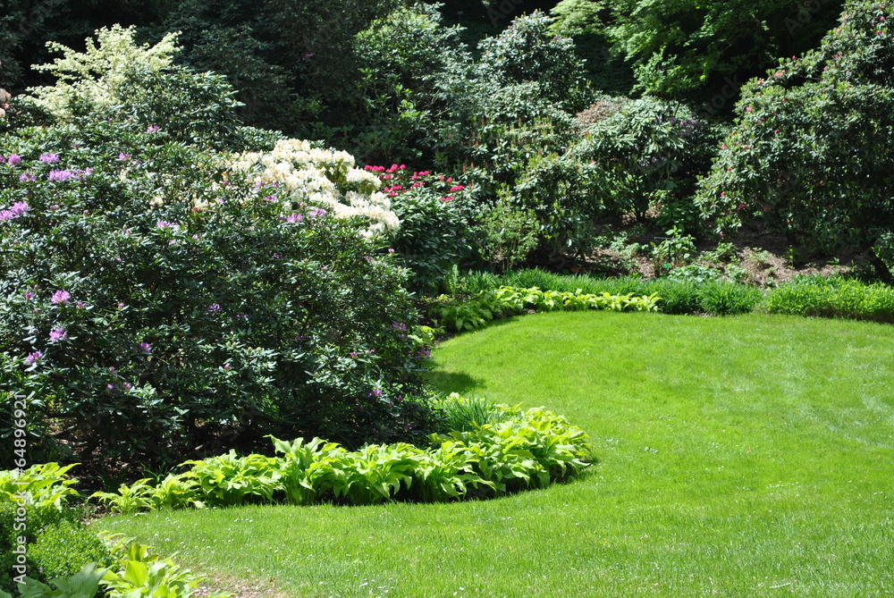 Fototapeta premium Rododendrony w ogrodzie