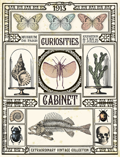 Curiosities cabinet