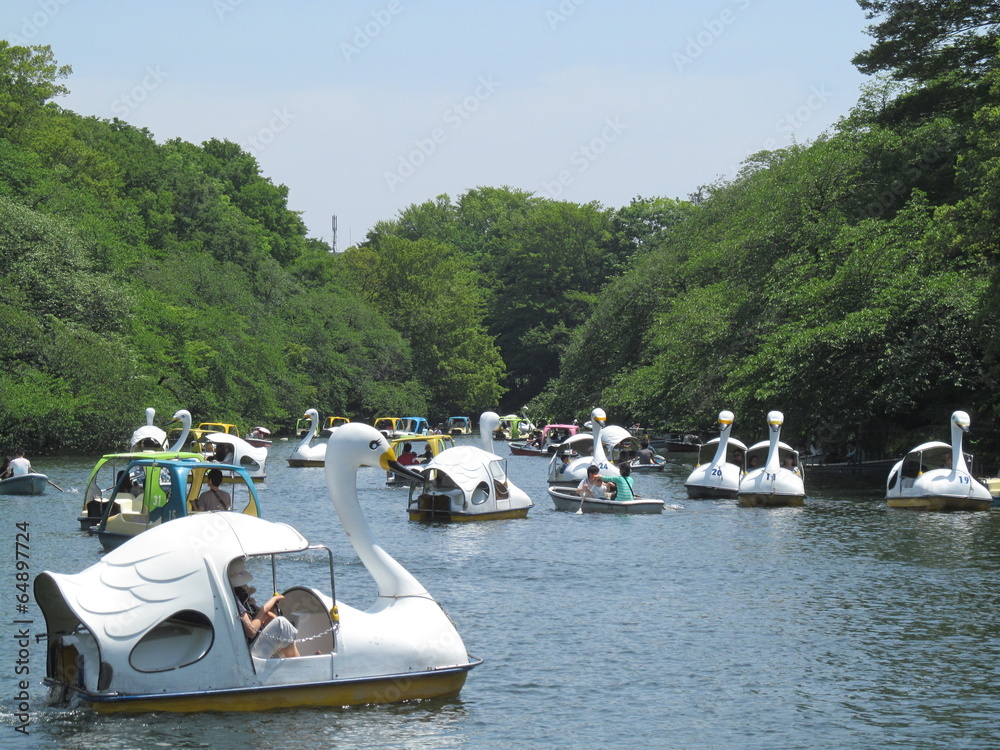 Fototapeta premium Park Inokashira