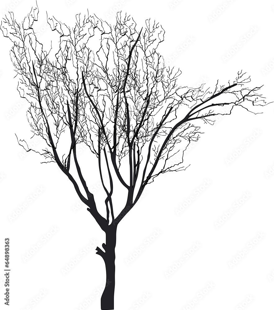 small bare isolated tree silhouette small bare isolated tree silhouette