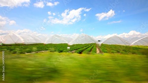 Driving a car through the countryside greenhouse plantation
