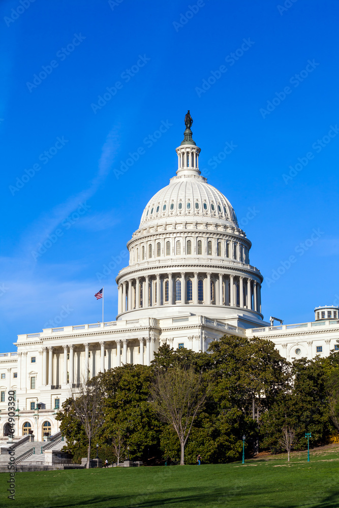 Obraz premium US Capitol Building