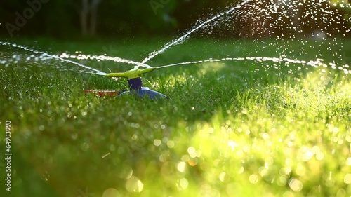 Three-way sprinkler in garden