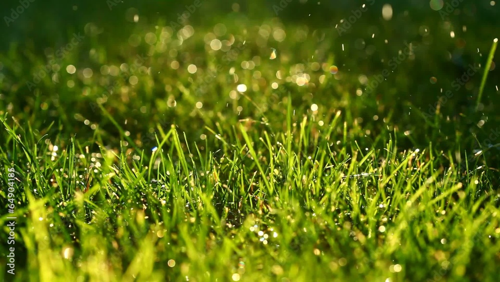 Macro of sprinkler water drops falling onto grass Macro of sprinkler water drops falling onto grass