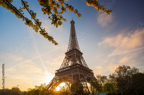 Eiffel Tower during spring time in Paris, France #64904996