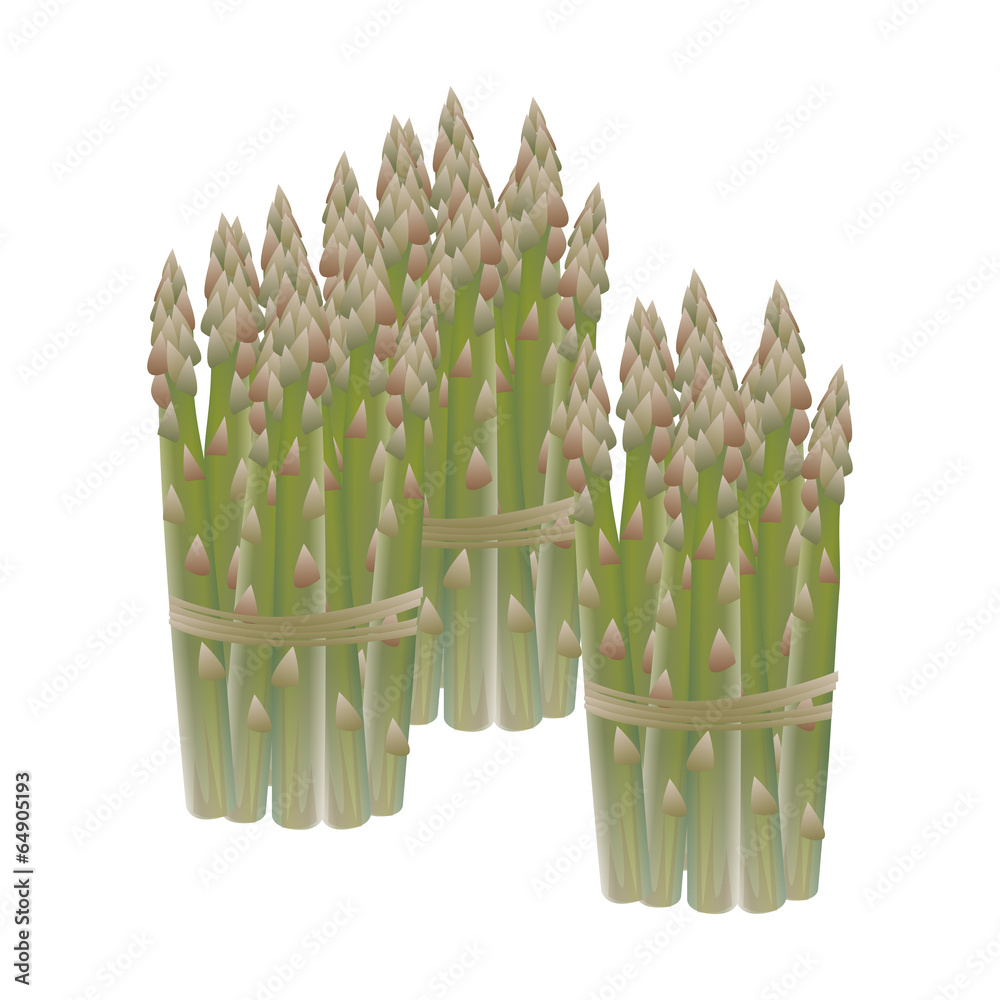 asparagi - obrazy, fototapety, plakaty 