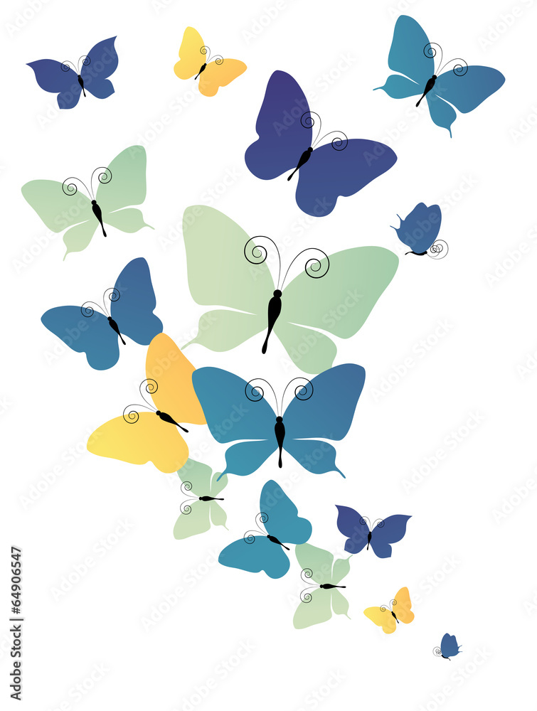butterflies design butterflies design