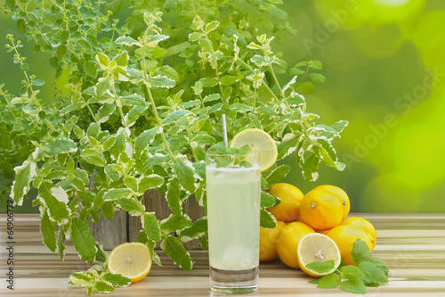 Zitronenlimonade und Zitronen mit Dekoration