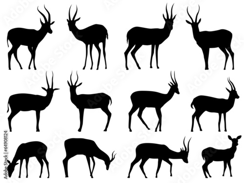 Set vector silhouettes of antelopes.