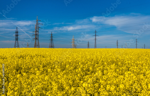 photo of electric towers in rapeseed against blue sky