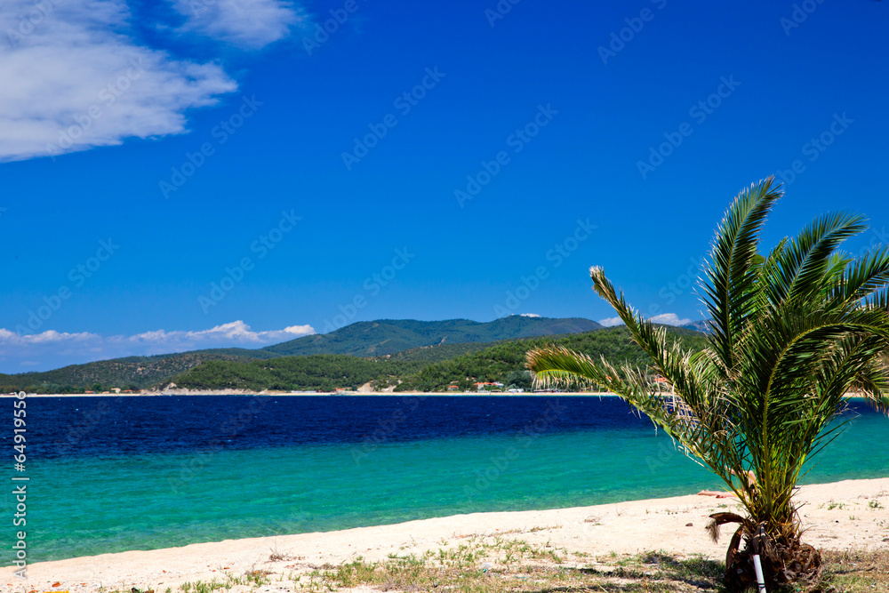 Naklejka premium beach