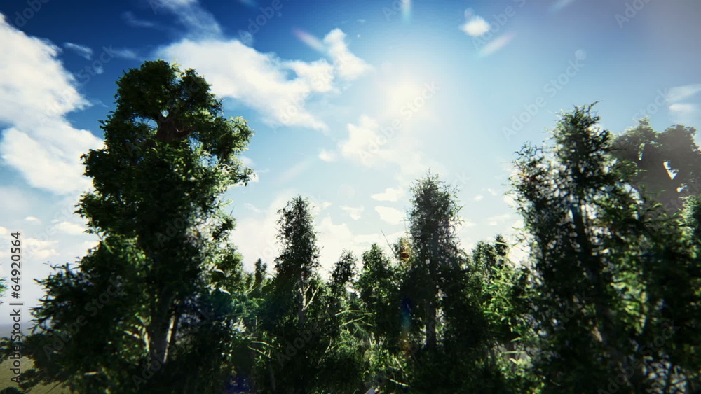 Helicopter crash in the forest