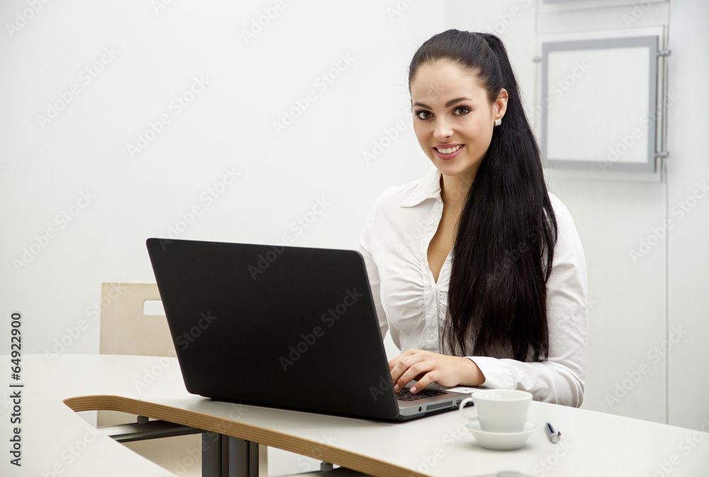 beautiful young business woman with computer in office beautiful young business woman with computer in office