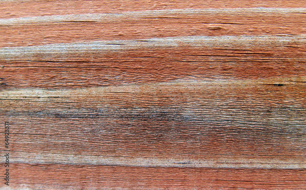Naklejka premium texture of the wood