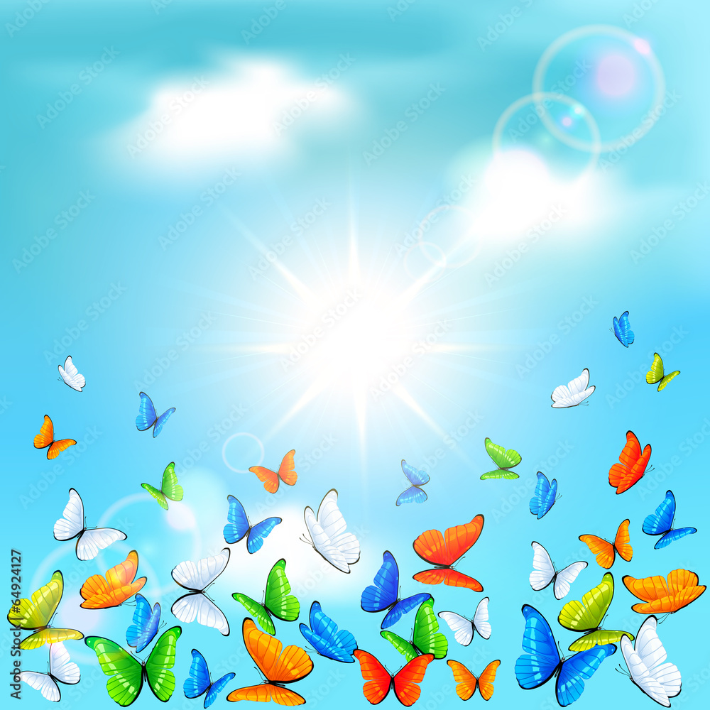 Butterflies in sky Butterflies in sky