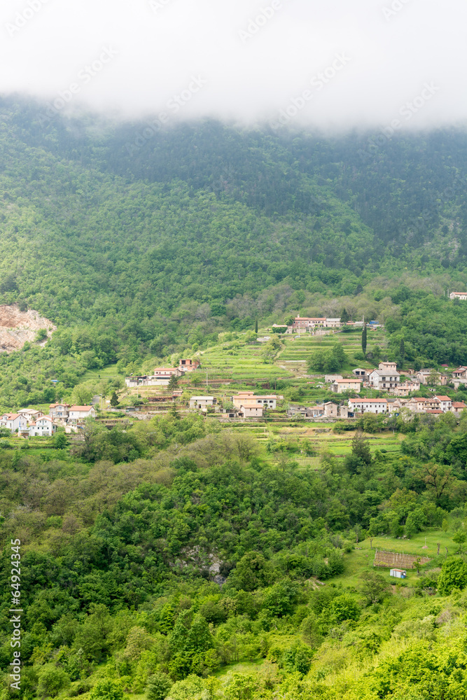 A town surrounded with forest on a mountain slope