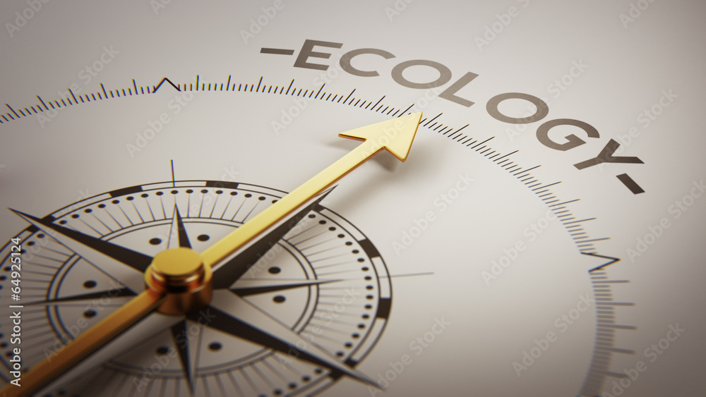 Ecology Concept Ecology Concept