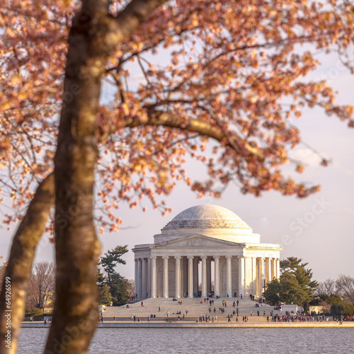 the Jefferson Memorial during the Cherry Blossom Festival