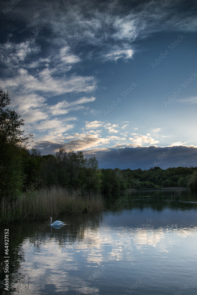 Summer vibrant sunset reflected in calm lake waters Summer vibrant sunset reflected in calm lake waters