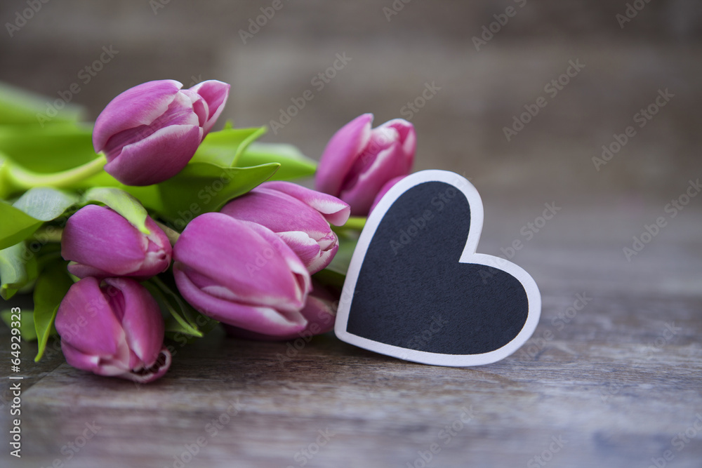 Tulpen Tulpen