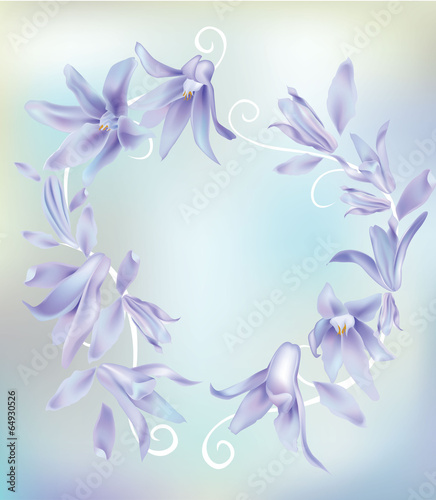 flower purple © ran