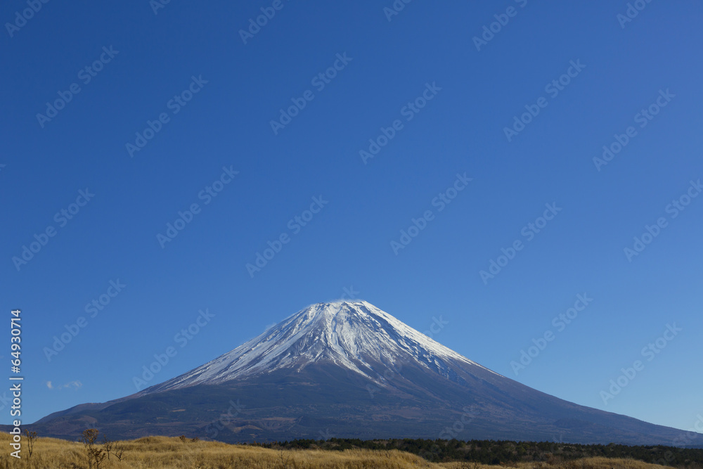 快晴青空の富士山（朝霧高原）