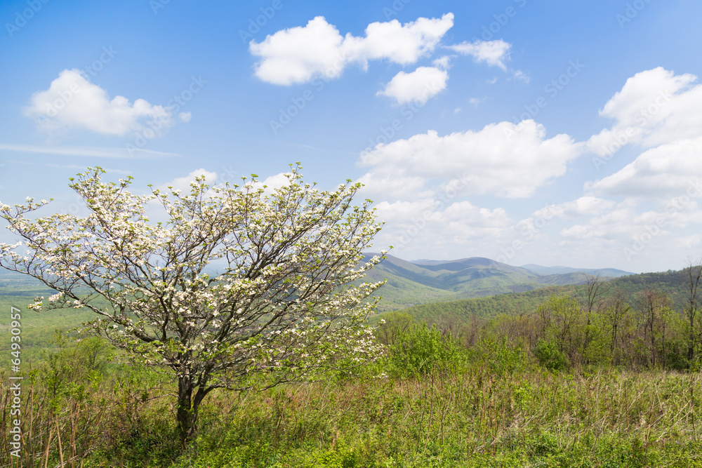 View in mountains in Virginia