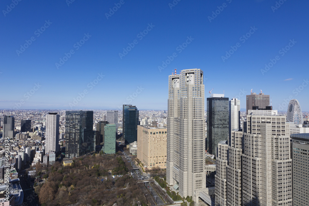 東京都庁と新宿高層ビル群