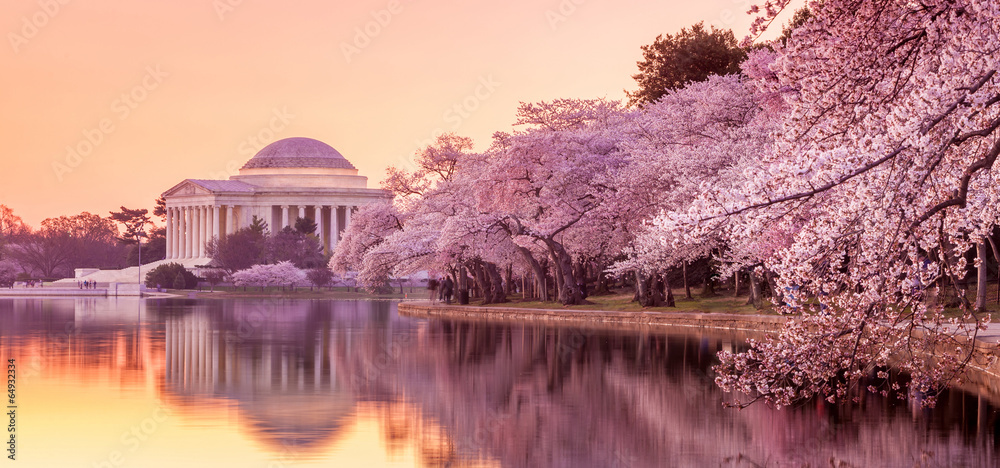 the Jefferson Memorial during the Cherry Blossom Festival - obrazy, fototapety, plakaty 