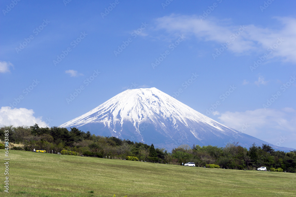 Fototapeta premium 富士山と朝霧高原の広場