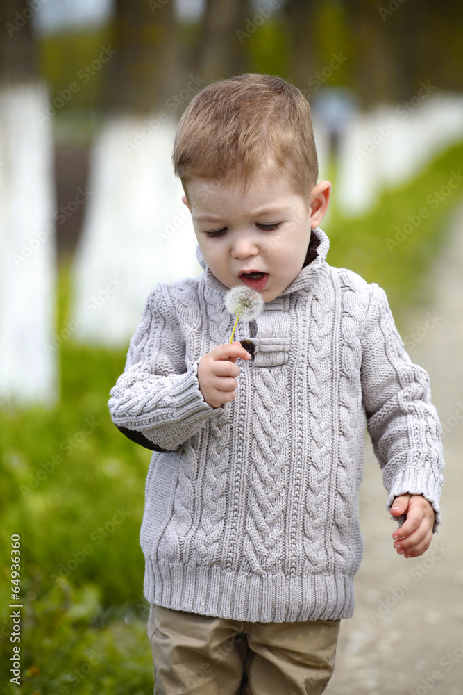 2 years old Baby boy with dandelion 2 years old Baby boy with dandelion