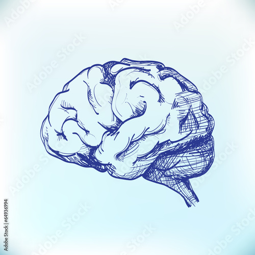 Isolated human brain sketch