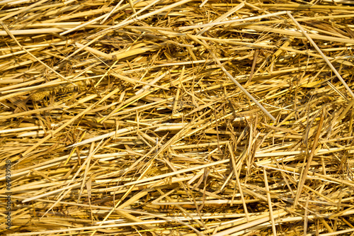 background from texture of straw