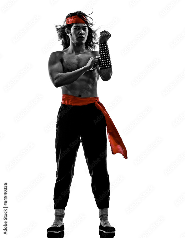 mangas video games martials arts fighter mangas video games martials arts fighter