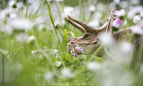 Triceratops