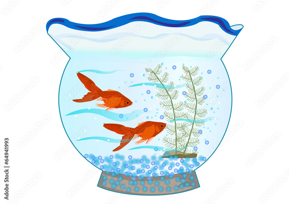 金魚鉢 Stock ベクター Adobe Stock