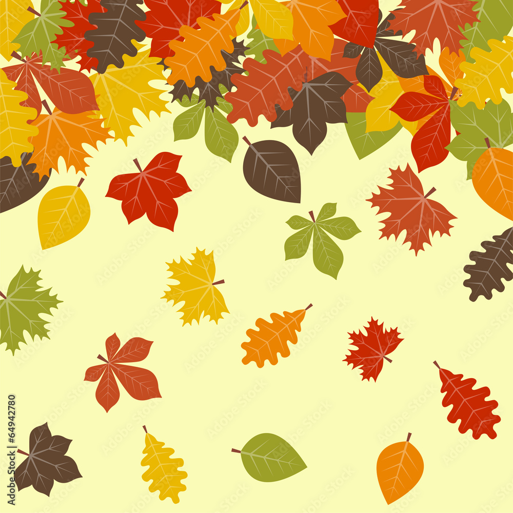 Obraz premium Fall leaves