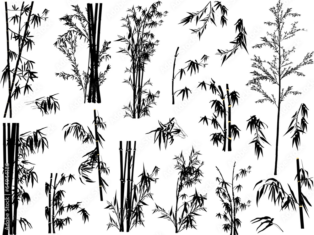 Fototapeta kolekcja sylwetki na białym tle czarny bambus roślin
