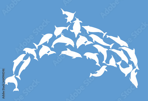 complex white dolphin on blue background