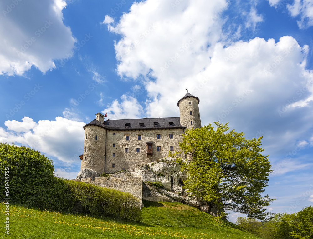 Castle on sunny day, Bobolice, Poland