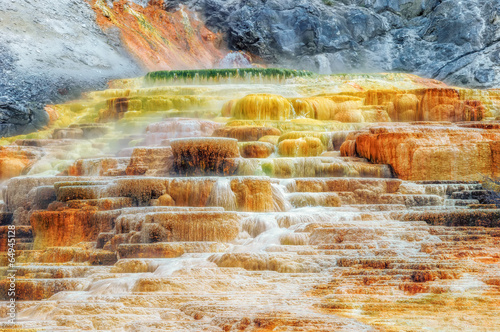 Fototapeta Yellowstone Palette Spring Terrace in Mammoth Hot Springs, Yellowstone National