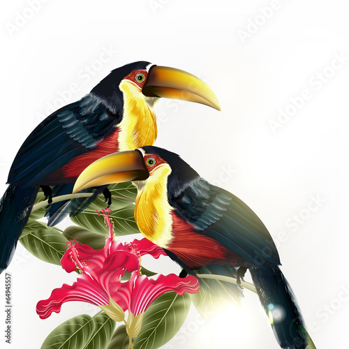 Background with vector colorful tropical birds and flowers