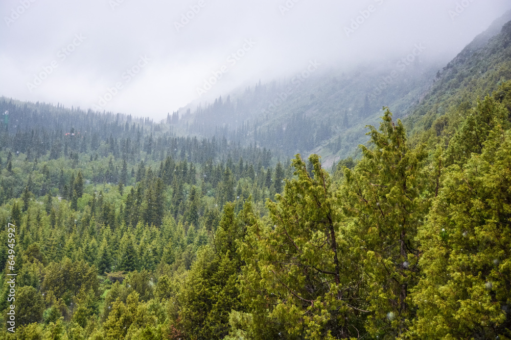 Walking in the Tien-Shan mountains