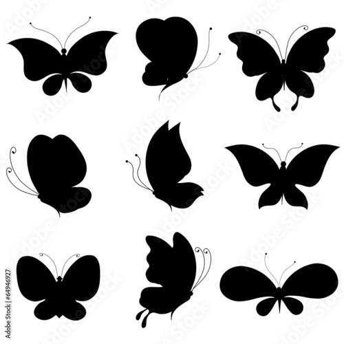 butterflies design