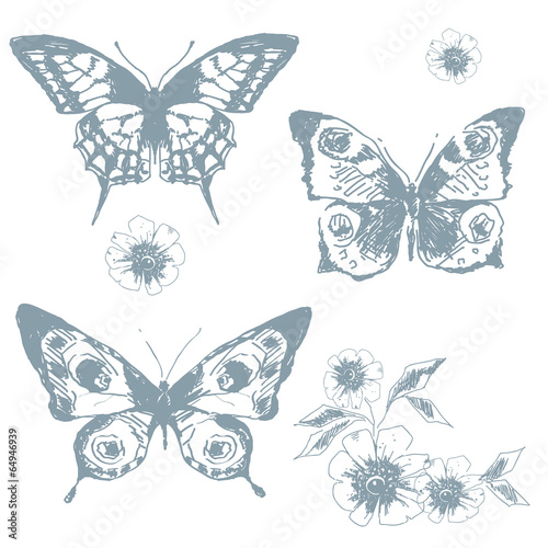 butterflies design