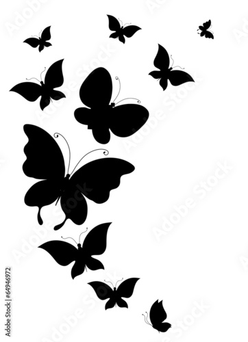 butterflies design