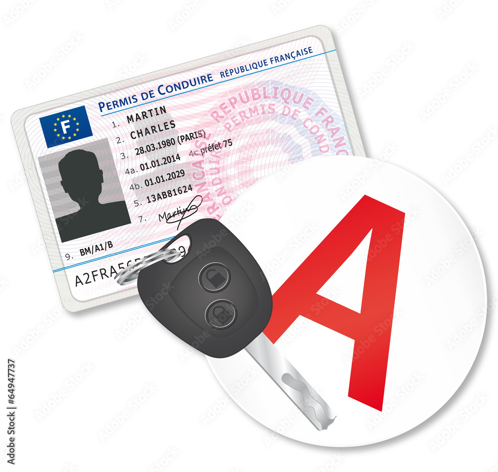 Permis de conduire avec porte-clé jeune conducteur Stock Vector