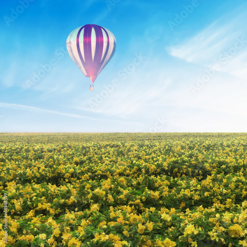 Balloon over Yellow Flower Field